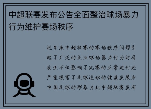 中超联赛发布公告全面整治球场暴力行为维护赛场秩序